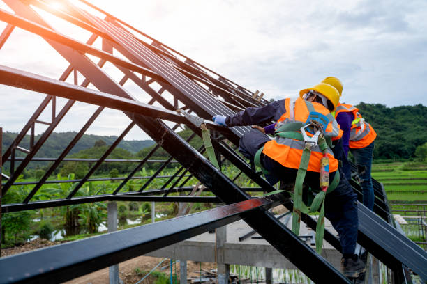 Best Roof Gutter Cleaning  in Thomaston, GA